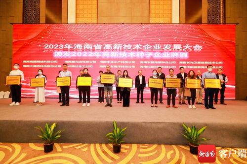 科技自貿(mào)港的轉(zhuǎn)型號(hào)角 從2023年海南省高新技術(shù)企業(yè)發(fā)展大會(huì)看?？谛畔⒓夹g(shù)咨詢服務(wù)的躍遷機(jī)遇