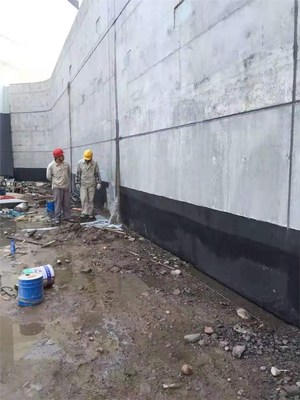 寧國防水補漏 金牌商家，20年質保讓建筑告別滲漏煩惱